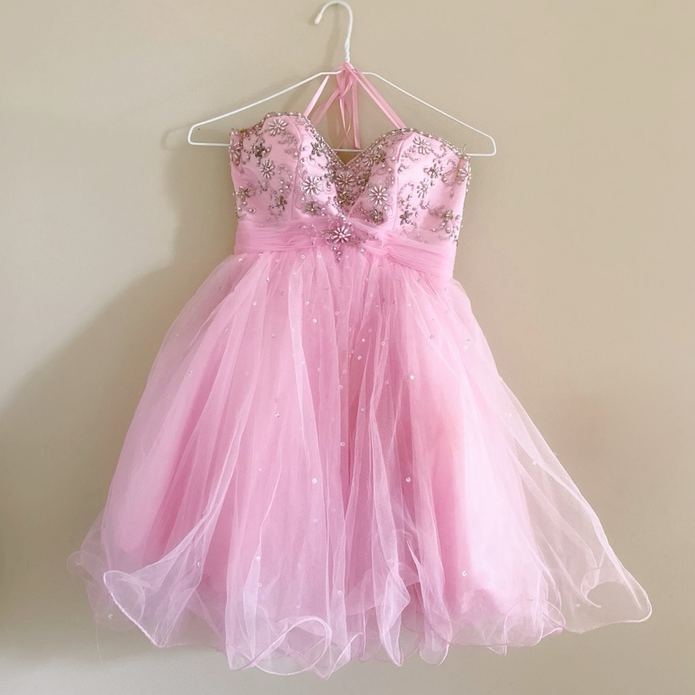 NWOT Clarissa BabyPink Sweetheart Tulle Mini Dress
